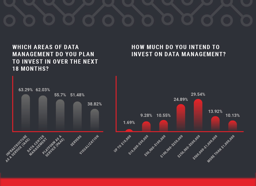 Data Management Insights